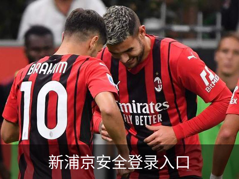 新浦京安全登录入口简介